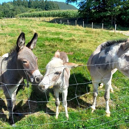 Вилла La Petite Ferme La Chapelle  Экстерьер фото